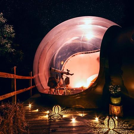 לינה וארוחת בוקר Sant'Orsola Maso La Marianna Bubble Glamping In Trentino מראה חיצוני תמונה