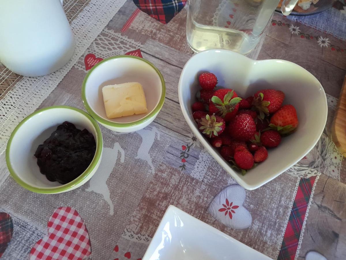 לינה וארוחת בוקר Sant'Orsola Maso La Marianna Bubble Glamping In Trentino מראה חיצוני תמונה