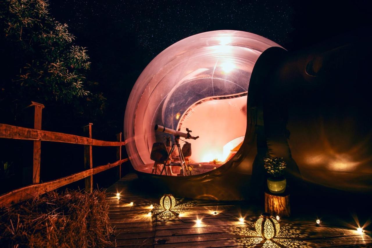 לינה וארוחת בוקר Sant'Orsola Maso La Marianna Bubble Glamping In Trentino מראה חיצוני תמונה
